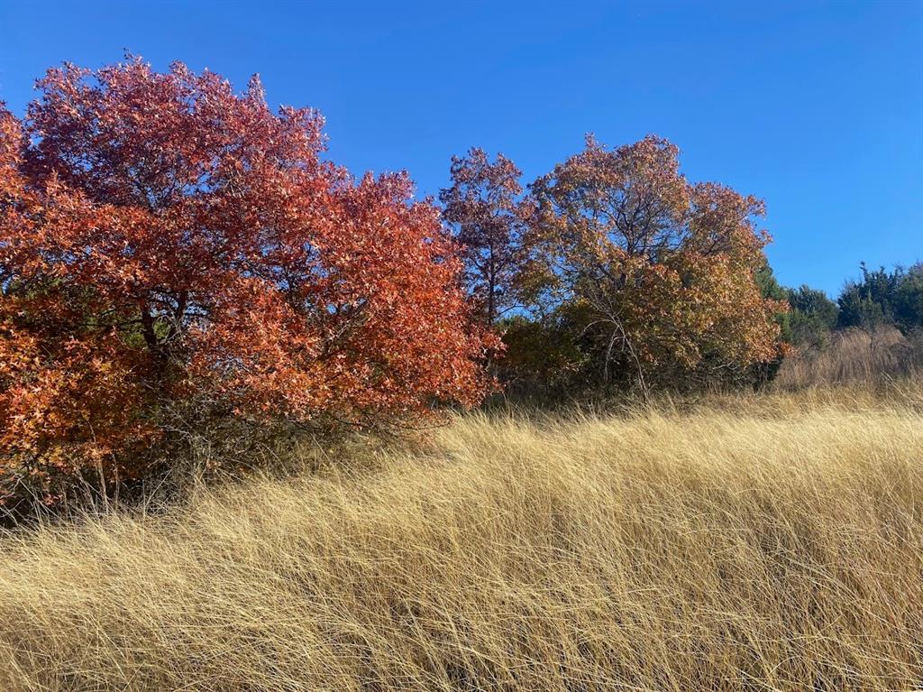 Cee-Bar Ranch 16 - Farm