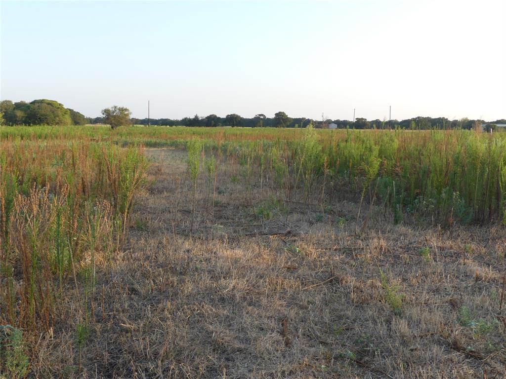 The Ranches at Blackjack Oaks - Land