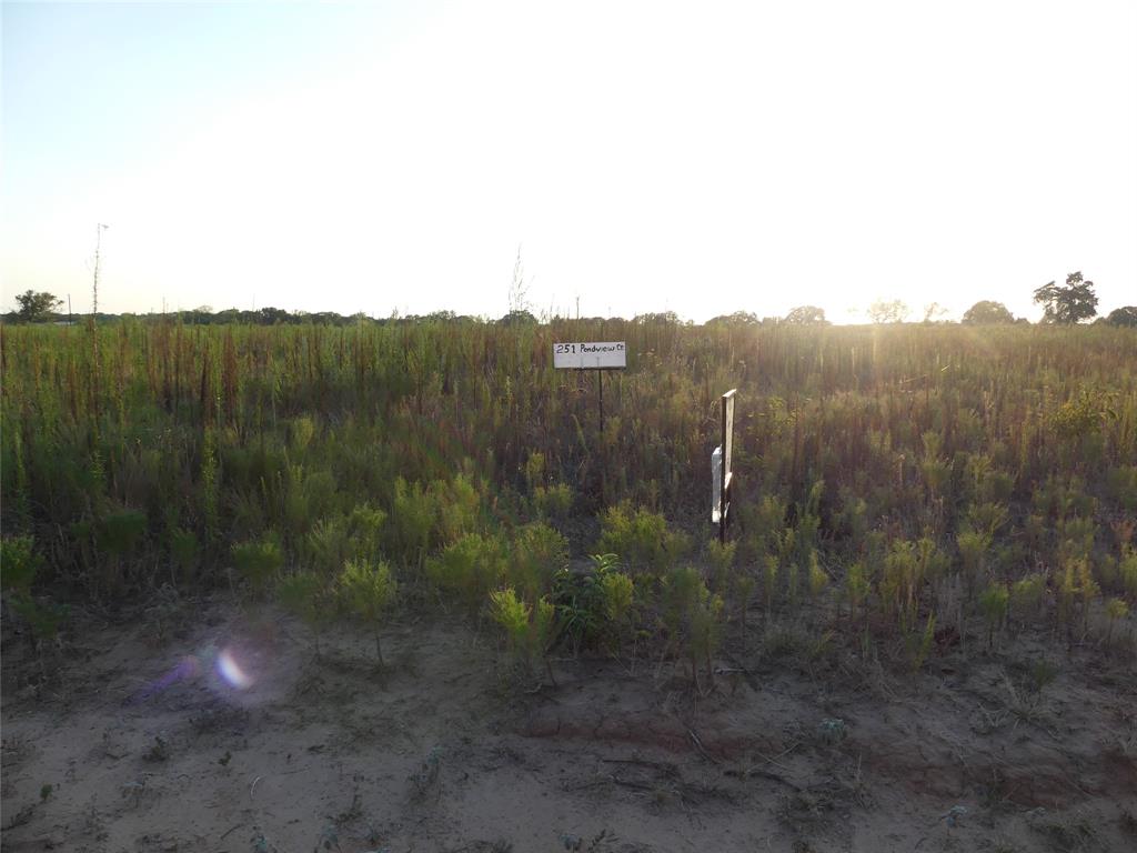 The Ranches at Blackjack Oaks - Land