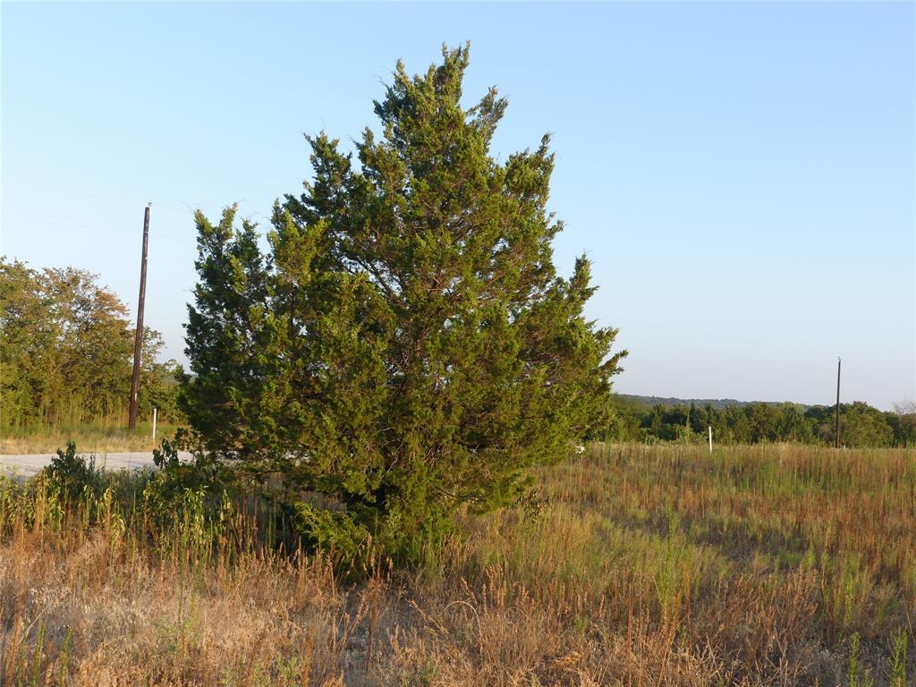 The Ranches at Blackjack Oaks - Land