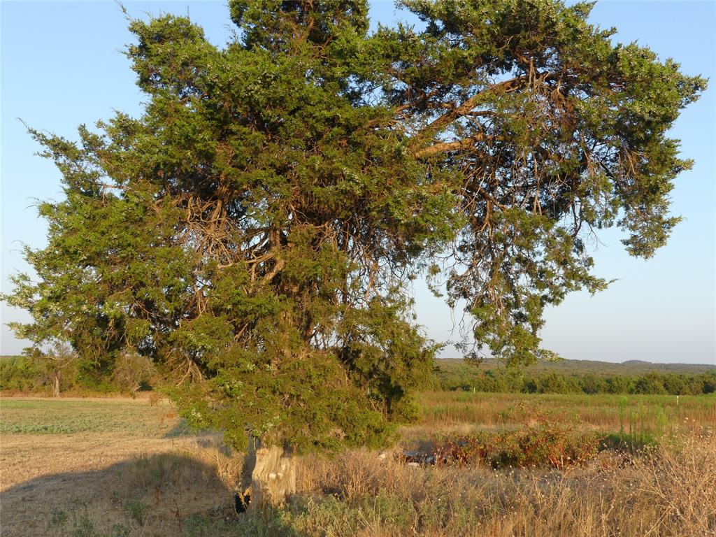 The Ranches at Blackjack Oaks - Land