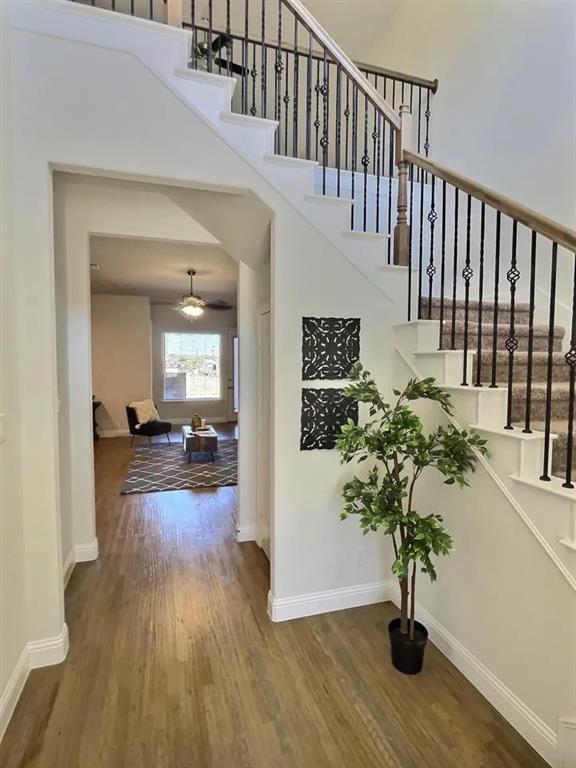2424 Belvedere Lane
