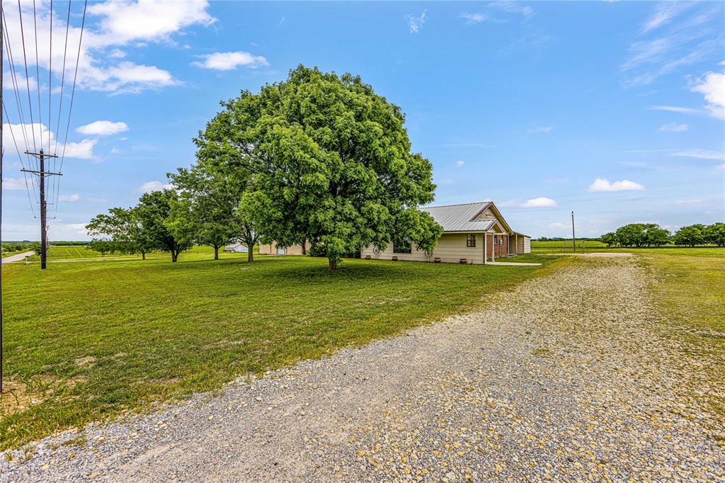 J. M. A. Ruiz - Farm