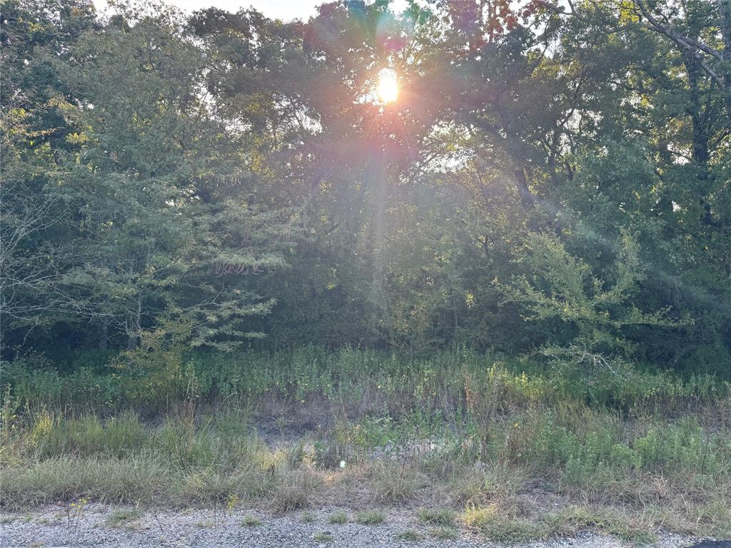 R & R Ranchettes 2 - Land