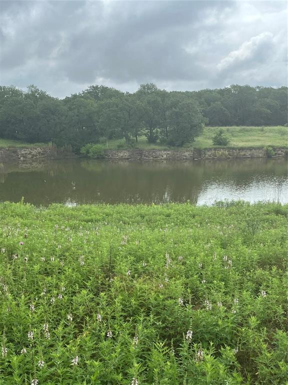 155 County Road 1742