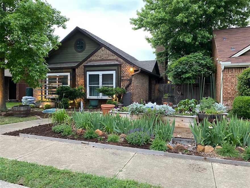 Welcome to this special Lewisville cottage, where timeless charm, thoughtful care, and everyday functionality come together in a highly convenient city location. This inviting 3-bedroom, 2-bathroom home offers a warm, welcoming atmosphere and an easy, open-concept floorplan designed for comfortable living and effortless entertaining. The living room serves as the heart of the home, highlighted by a cozy fireplace that adds both character and a perfect gathering space for quiet evenings or hosting friends and family.

The home has been lovingly owned by the same homeowner for 19 years, with an evident level of pride and attention poured into every detail. That care is especially apparent outdoors, where the property truly shines. The beautifully cultivated gardens are not only a visual delight but have also earned the rare distinction of being named a Lewisville Certified Pollinator Garden. Mature plantings, vibrant blooms, and thoughtfully designed outdoor spaces create a peaceful retreat that attracts butterflies, birds, and beneficial pollinators—offering a sense of serenity that is rarely found so close to the heart of the city.

Inside, the open layout allows natural light to flow easily throughout the home, enhancing its cheerful, cottage-style appeal. The bedrooms provide comfortable, flexible space for family, guests, or a home office, while the two full bathrooms add everyday convenience. Whether you are enjoying a quiet morning by the fireplace or spending time in the gardens, this home consistently delivers a feeling of warmth and connection.
This property offers exceptional versatility, making it an ideal choice for a first-time buyer, an investor seeking a charming and well-located home, or someone looking to downsize without sacrificing character or comfort. Its location near major commuter routes ensures quick access to surrounding cities, employment centers, dining, and shopping, while still allowing you to enjoy a peaceful residential setting.