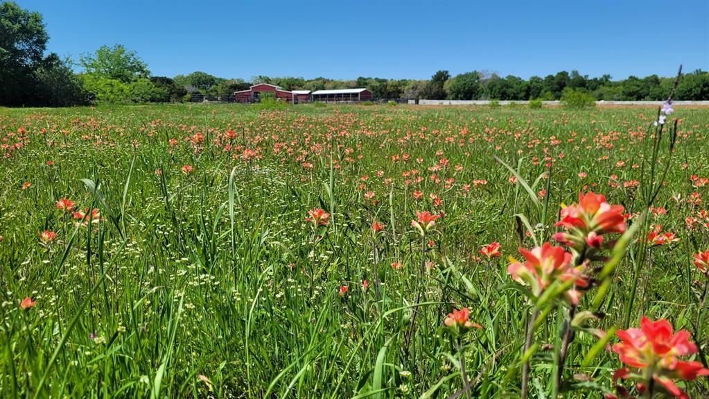 Rice Lemuel A-105400s24 - Residential