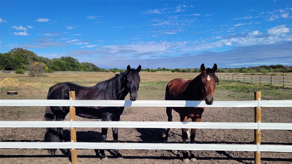 Rice Lemuel A-105400s24 - Residential