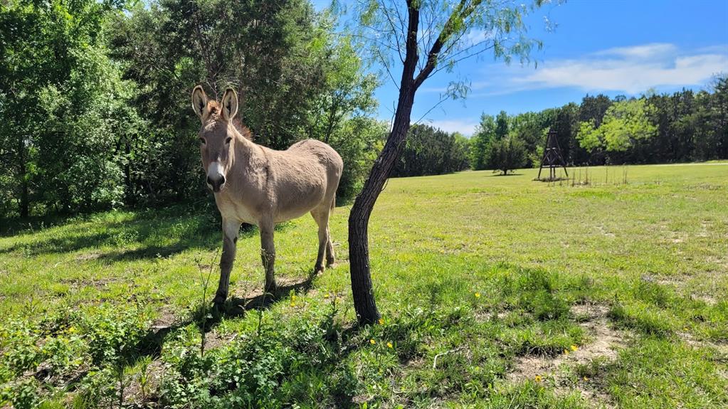 Rice Lemuel A-105400s24 - Residential