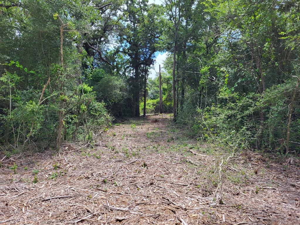 Hyden Place J L Chavert Surv - Land