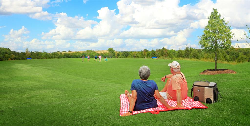 Inspiration Phase 4b - Land