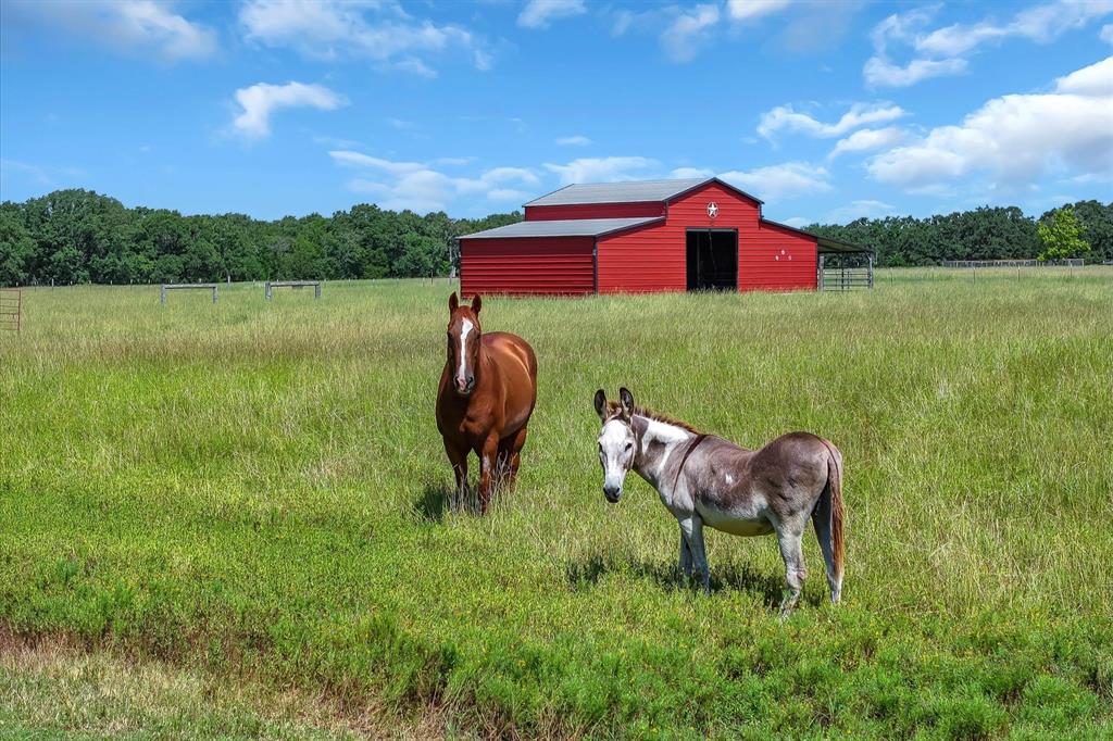 Hidden Meadows - Residential