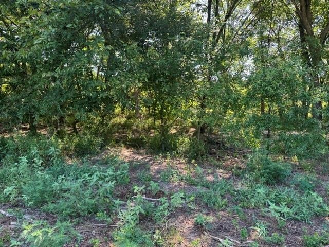 TBD County Rd. 1300 and County Rd. 1295