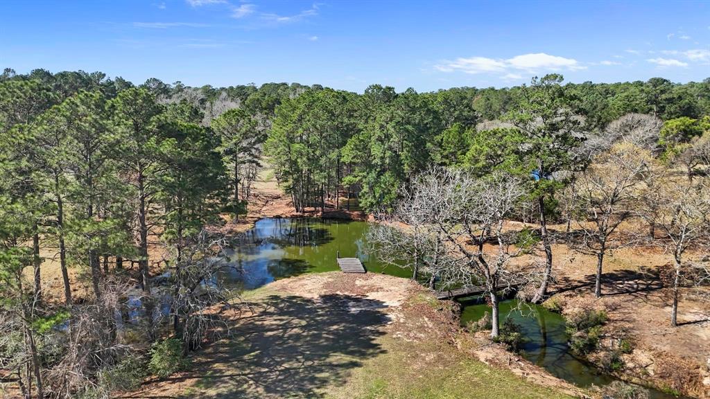 Lynch Nancy - Residential