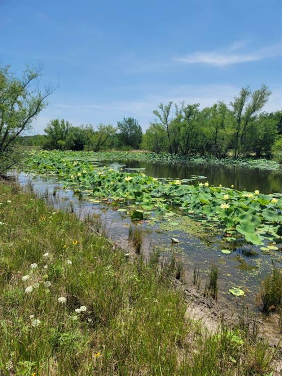 DAVIS GEORGE A - Land