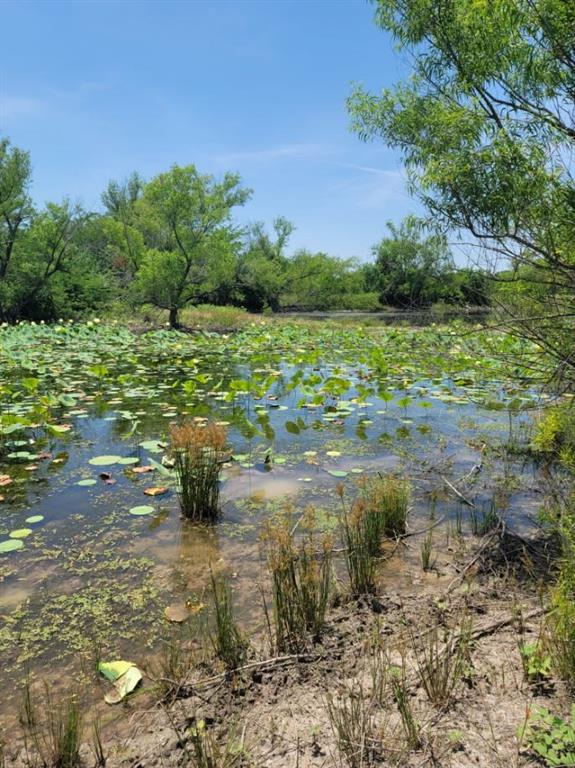 DAVIS GEORGE A - Land