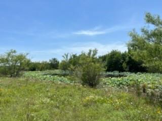 DAVIS GEORGE A - Land