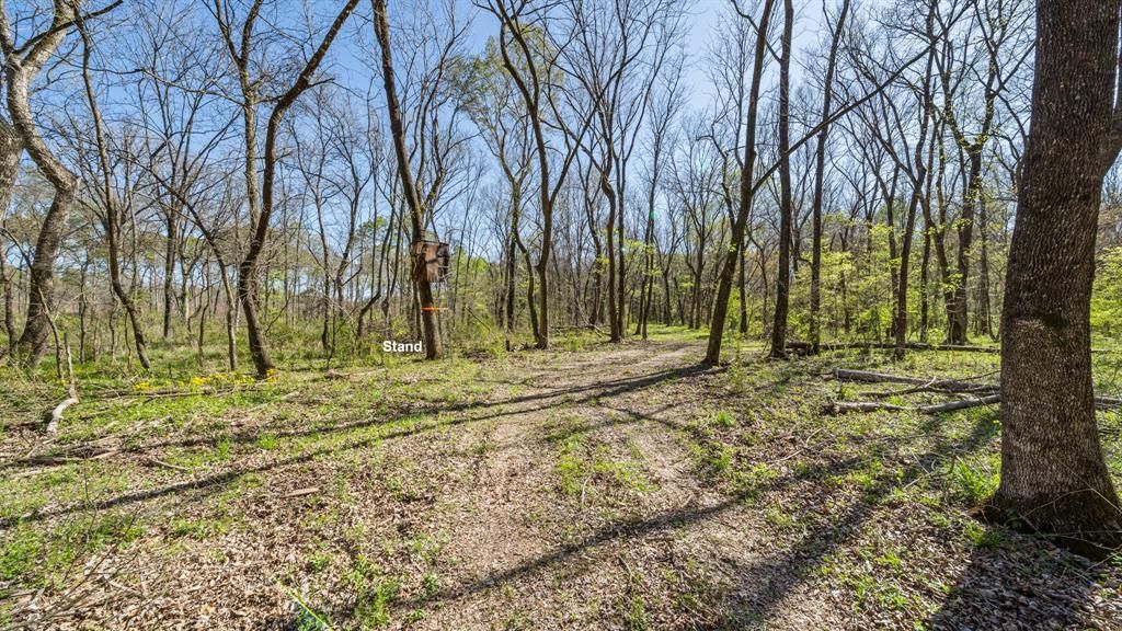 Photo of TBD County Road 462, Mineola, TX 75773 (MLS # 21215440)