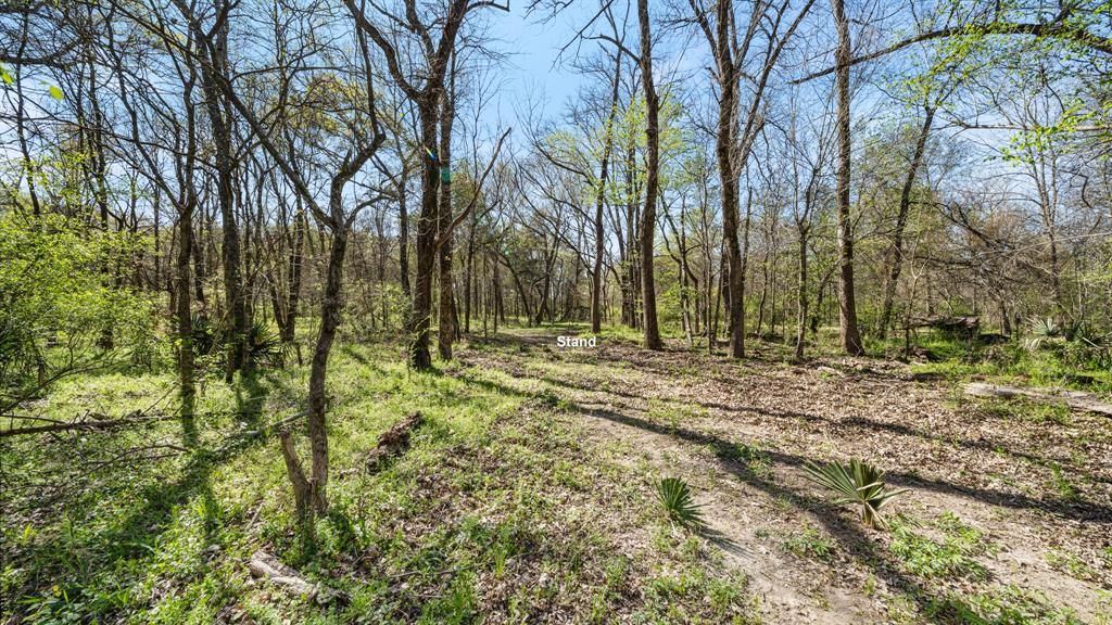 Photo of TBD County Road 462, Mineola, TX 75773 (MLS # 21215440)