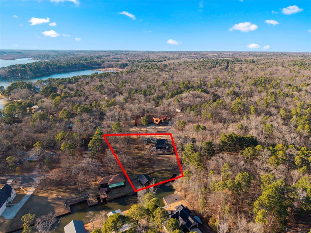 Tall Tree - Residential