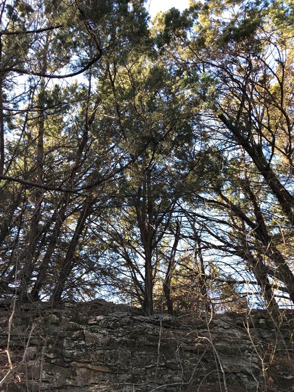 Lot 694 Balcones Lane