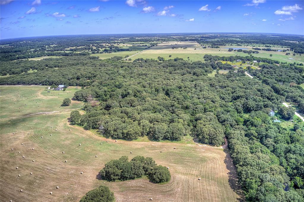 Levi Pruitt Surv Abs - Land