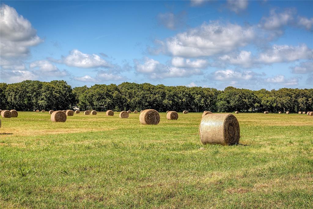 Levi Pruitt Surv Abs - Land