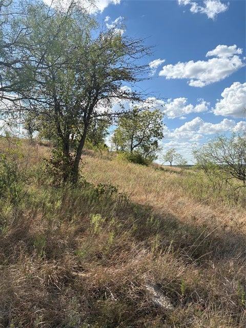 Photo of 19 Parks Medow Dr., Gustine, TX 76455 (MLS # 21391521)