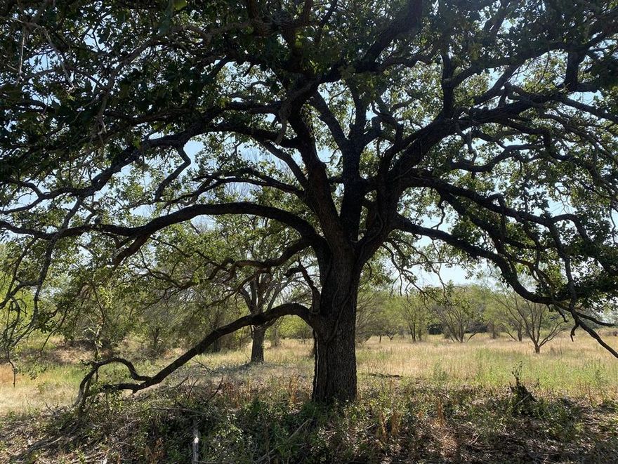Beautiful small acreage property ready to construct the home of your dreams. This wooded tract of land is located on Cr 327 being a paved road near the community of Blanket, Tx and minutes away from Brownwood. There is one surface water tank that needs to be cleaned out to make a large Pond for fishing and wildlife. The land has has some brush clearing done making it one step closer to construct a custom home. There is a gentle roll to the land with thick Live Oak tree cover that provides habit to the wildlife. Horses and cattle are permitted on the property adding more appeal to this beautiful tract of land. Small tracts of land located close to town are hard to come by so don't wait.