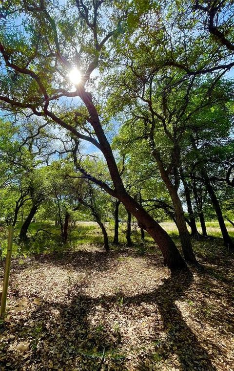Photo of TBD (Lots 785, 786) Oak Point Drive, May, TX 76857 (MLS # 21245379)