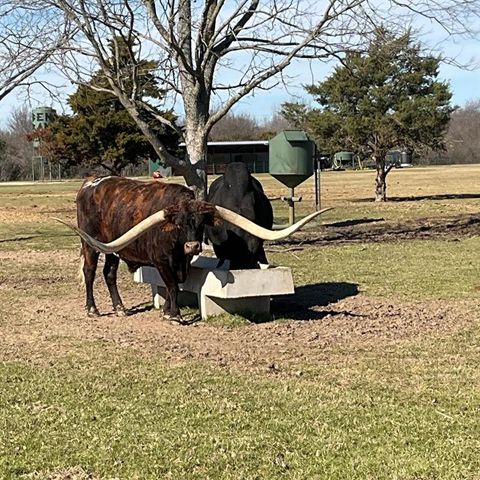 A home in Corsicana