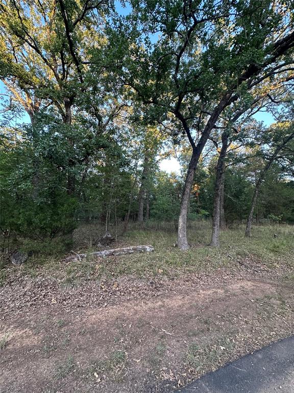 Photo 1 of 11 — 101 Cedar Oaks Drive, Mabank, TX 75156