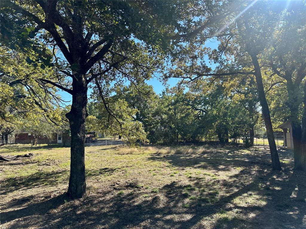 TBD Bluebonnet Drive