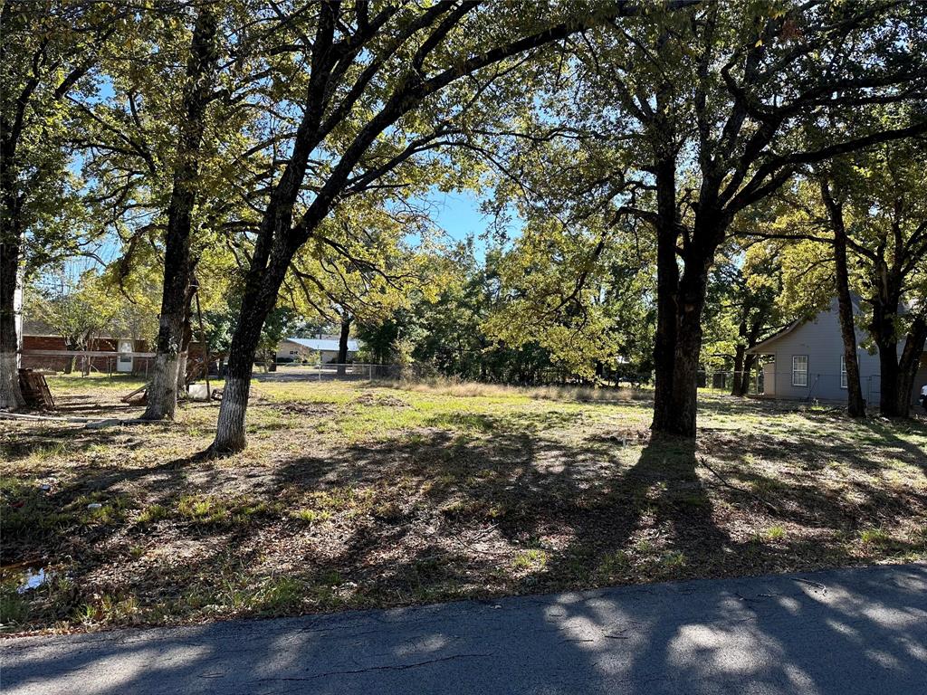 TBD Bluebonnet Drive