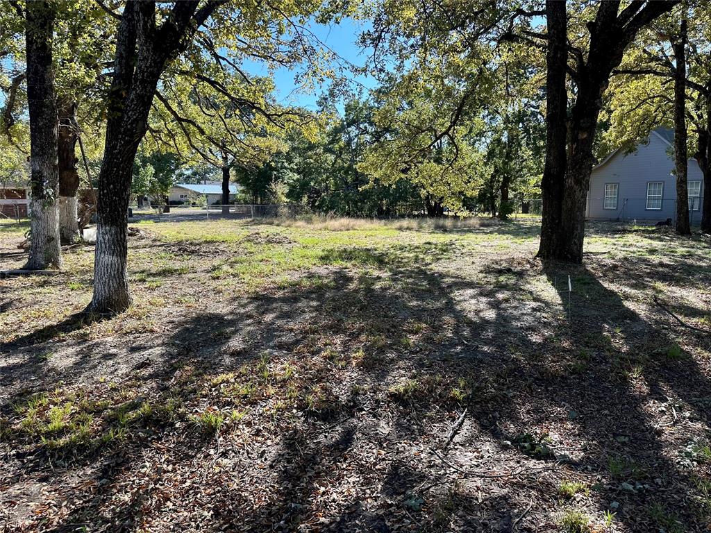 TBD Bluebonnet Drive