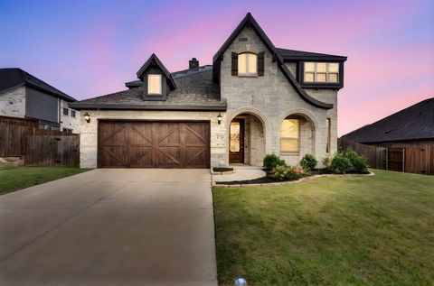174 Half Moon Drive Waxahachie TX 75165