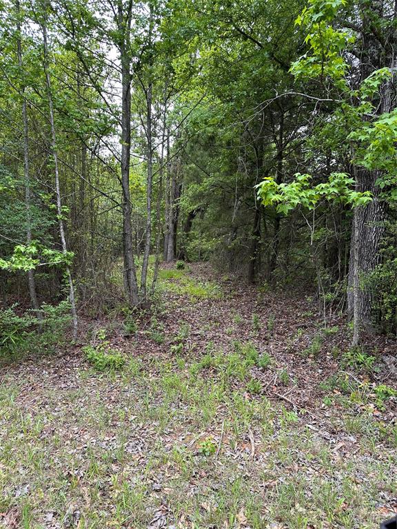 001 George Richey Road