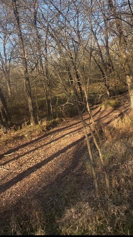 M L Swing Surv - Residential