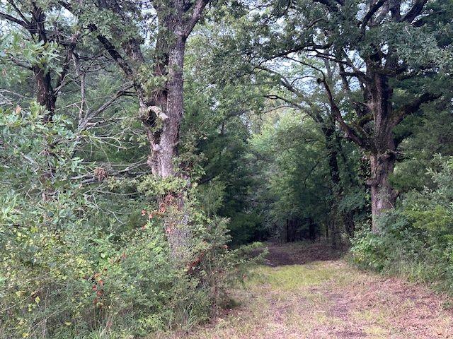 TBD W HWY 80