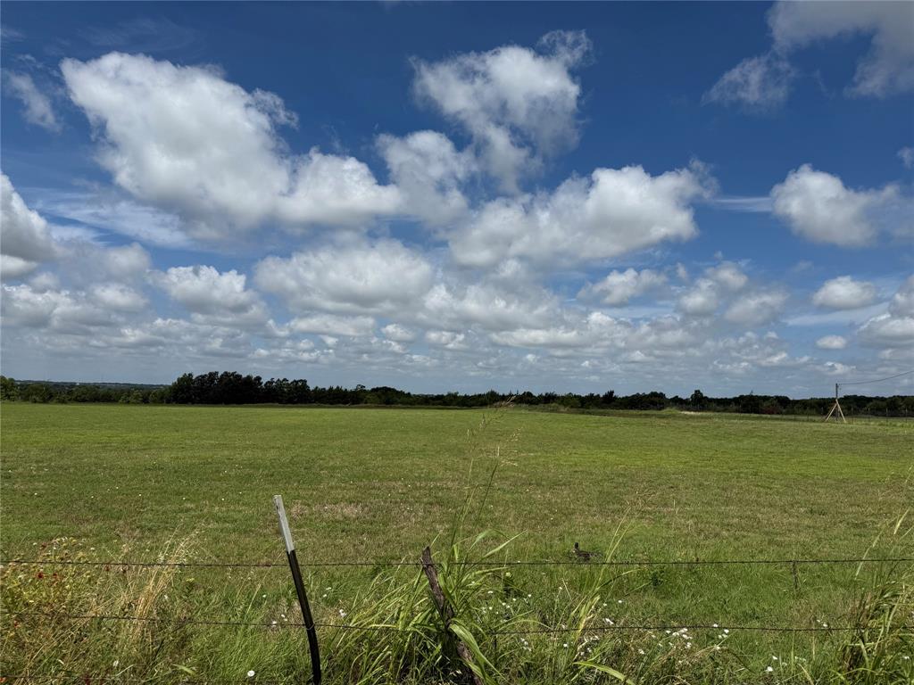 plunkett cedar - Land