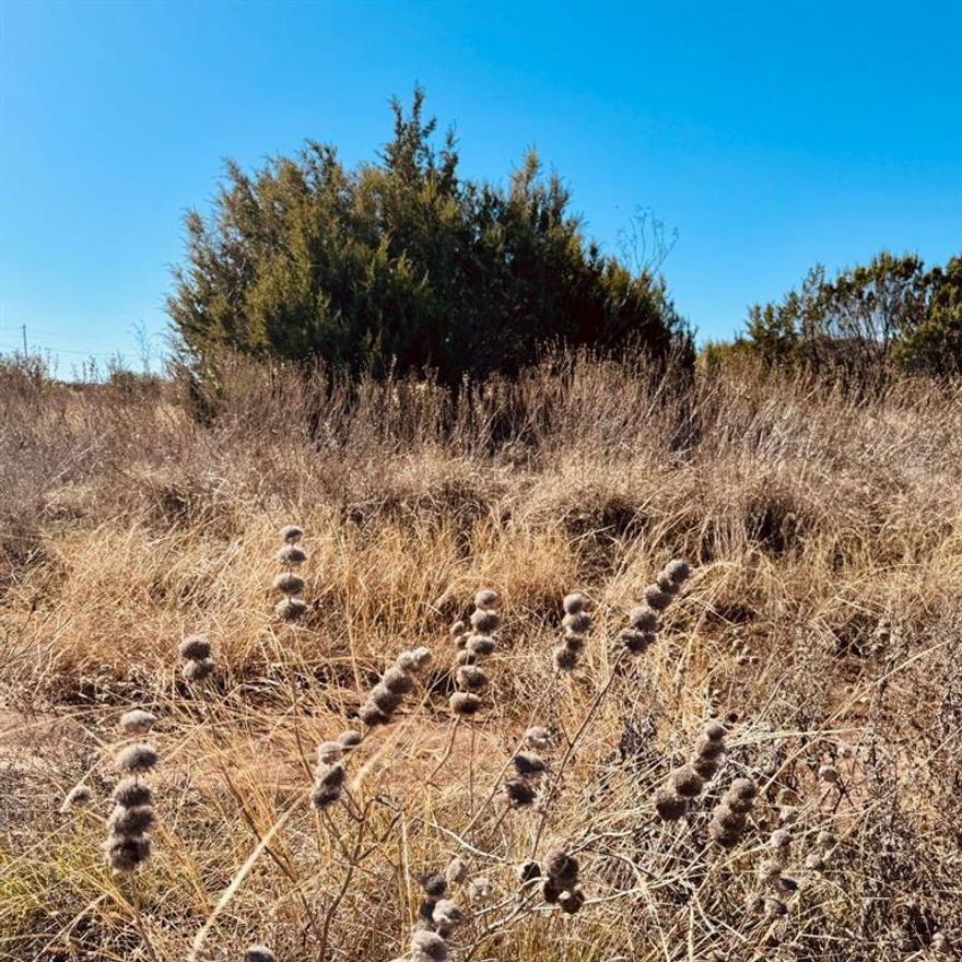 Build your dream retreat on 2.31 peaceful acres in Somervell County's newest gated community, Hidden Valley Ranches. This lot (Lot 187 on plats) is on a secluded cul-de-sac, shared by only four owners with 325 feet of road frontage. 

Located at the top of the stunning Texas Hill Country, this property offers breathtaking views, privacy, and access to a brand-new community lake. Surrounded by scenic elevations and natural beauty, it’s the perfect blend of tranquility and charm.

This community is outside the restrictions of city limits, but minutes away from charming downtown Glen Rose and Fossil Rim Wildlife Preserve. The schools in Glen Rose feature great academics and powerhouse athletic facilities, while still maintaining that small town feel so many are looking for.