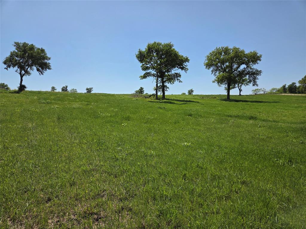 Richland Park - Land