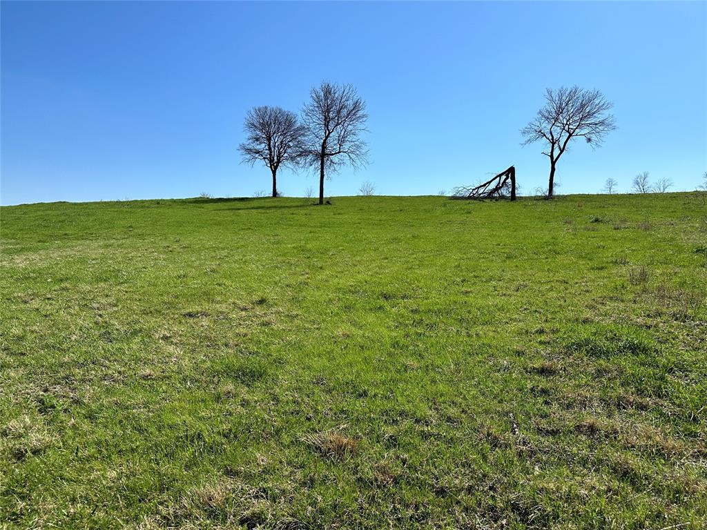 Richland Park - Land