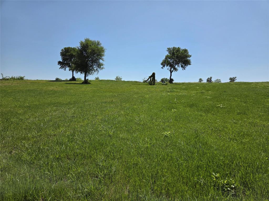 Richland Park - Land