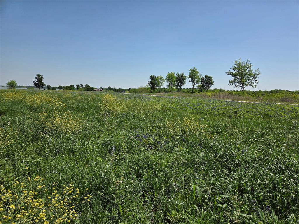 Richland Park - Land