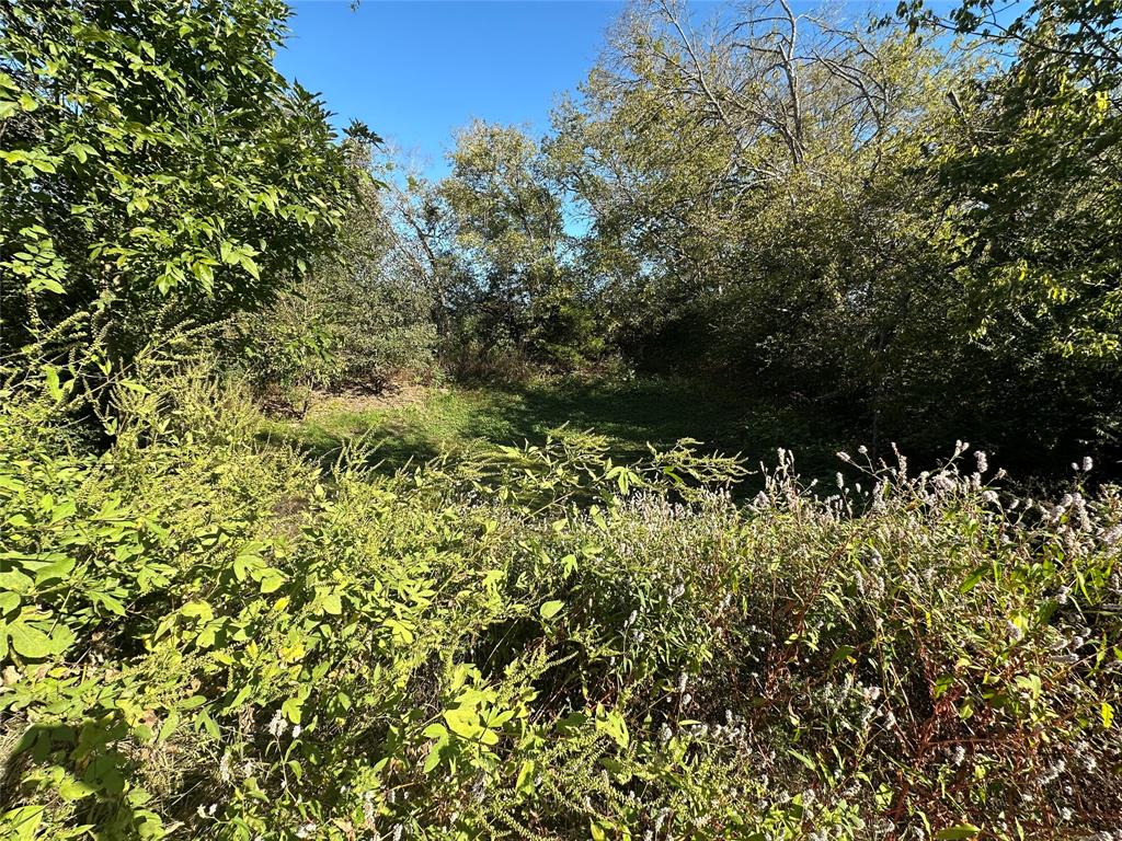 A. Varela-Shiloh - Residential