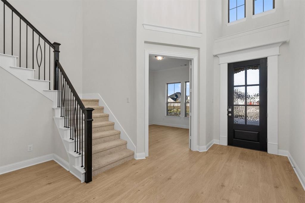 Painted Tree - Residential