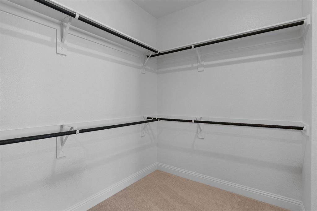 Painted Tree - Residential