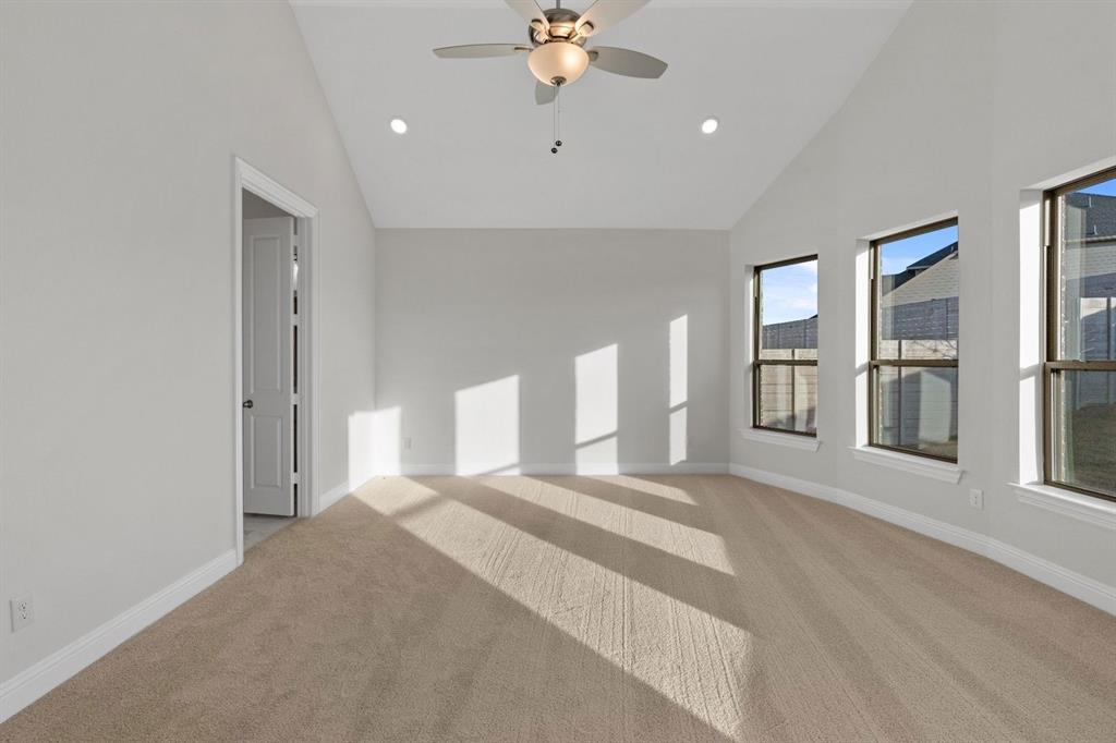 Painted Tree - Residential