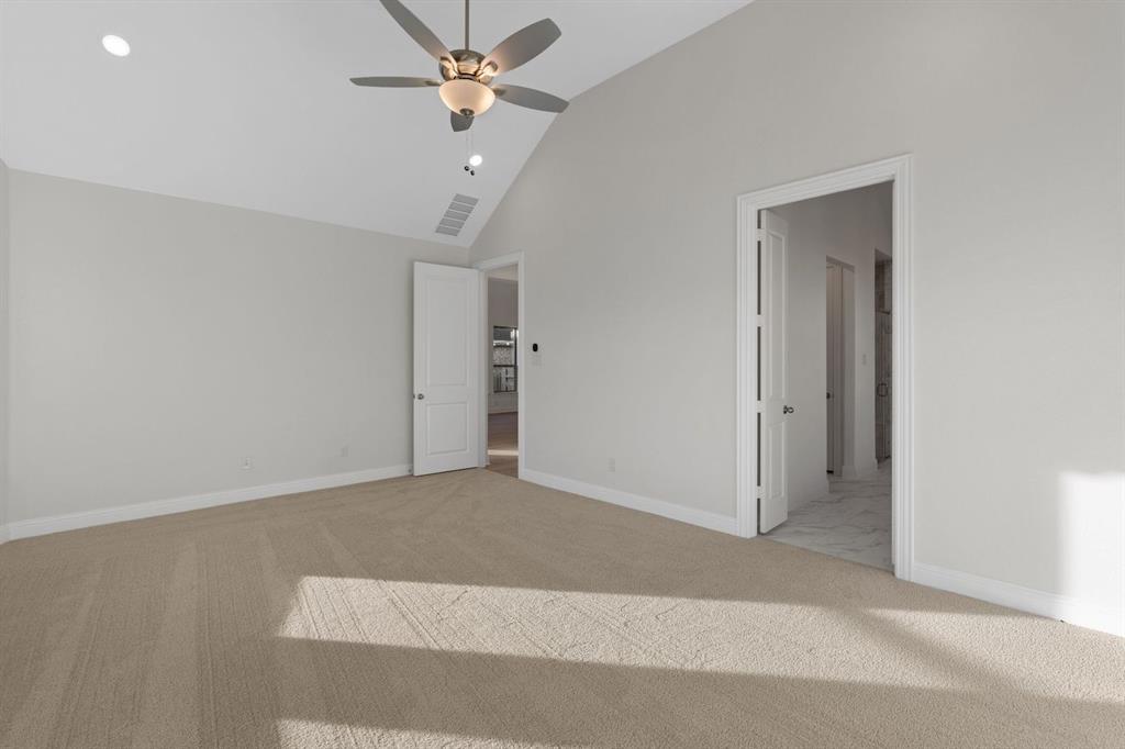 Painted Tree - Residential